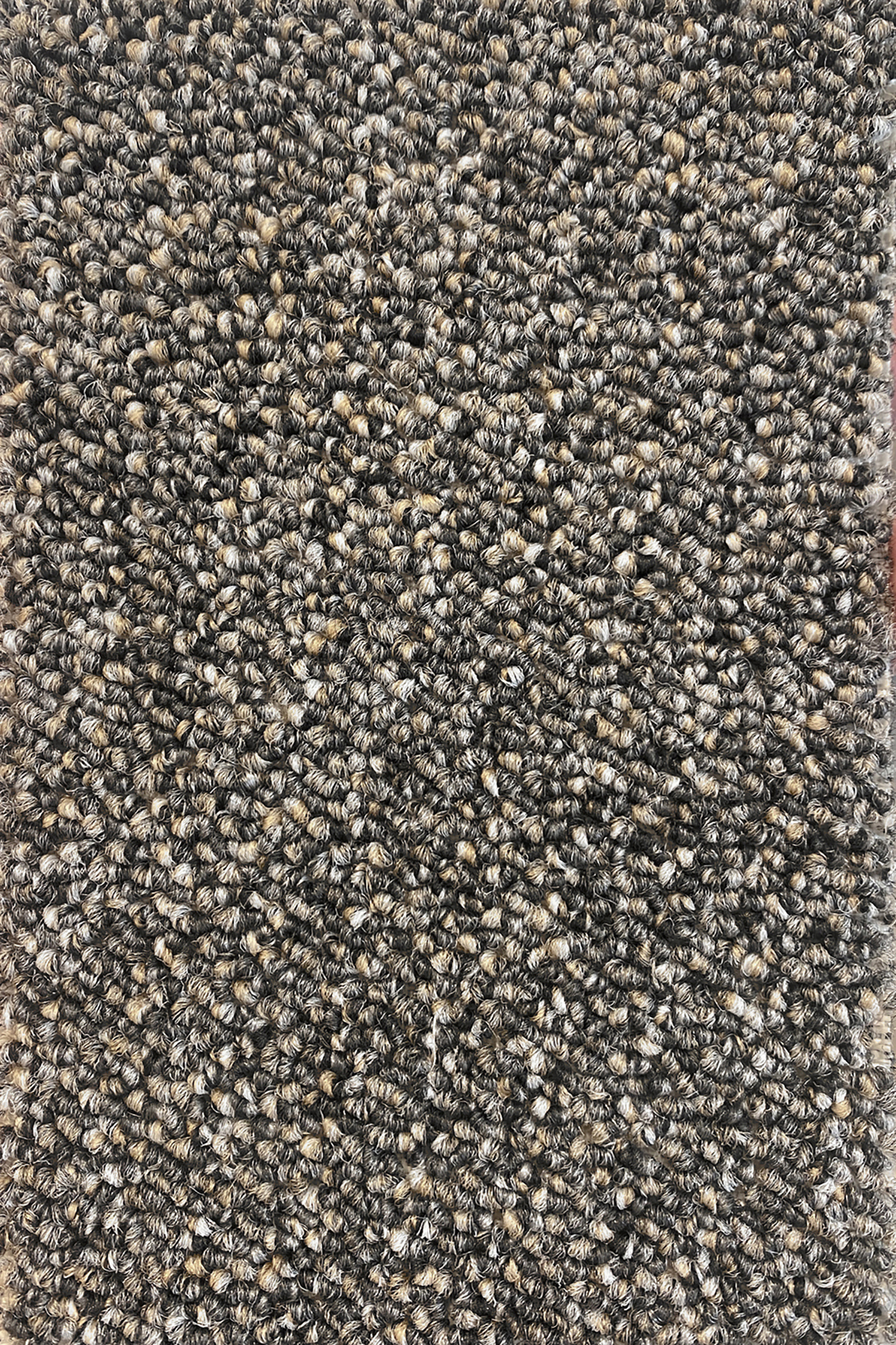 Ковровое покрытие "Bonkeel" Nero 97 (ширина 4м) — купить в Брянске