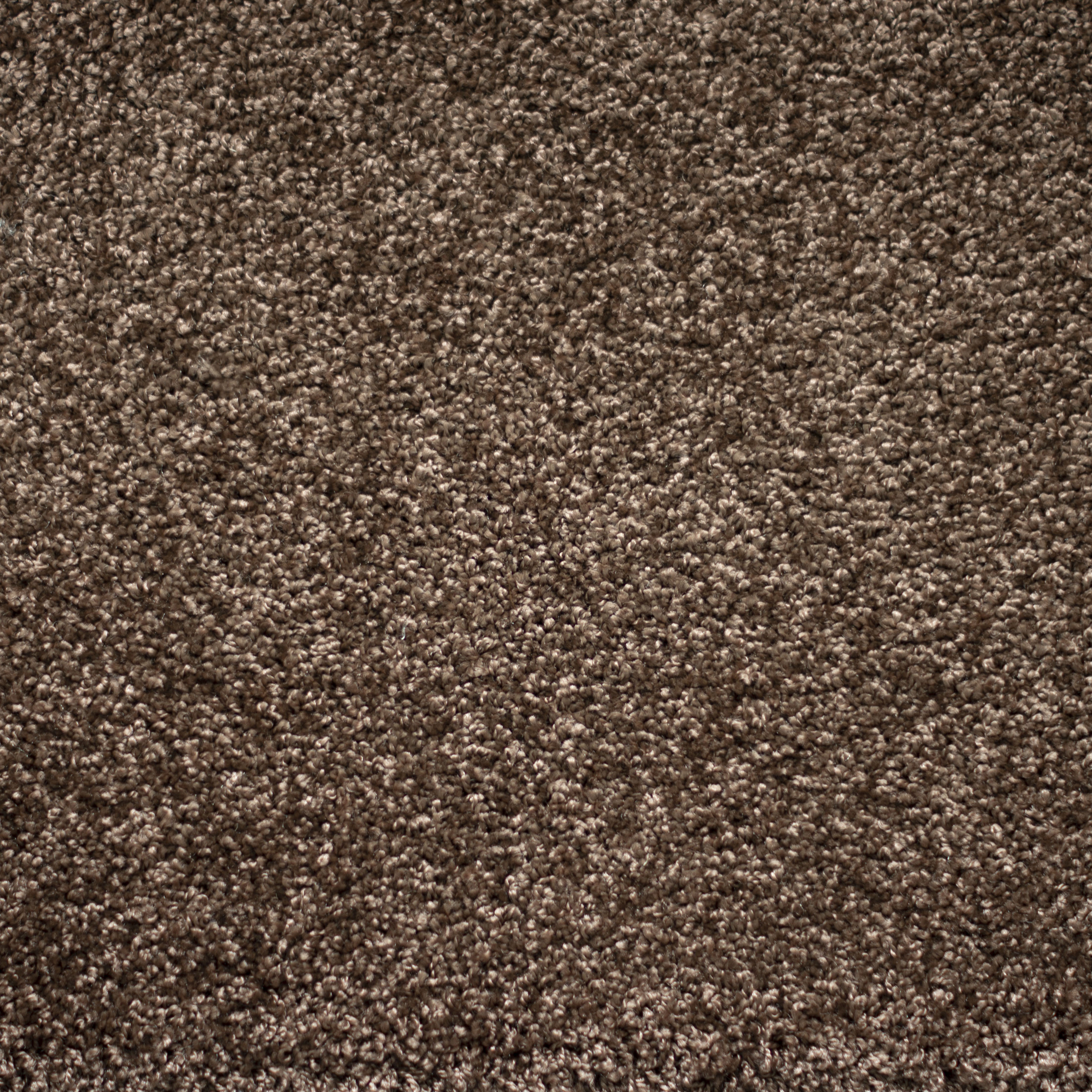 Ковролин "Зартекс" Tesoro 156 коричневый (4м) — купить в Брянске