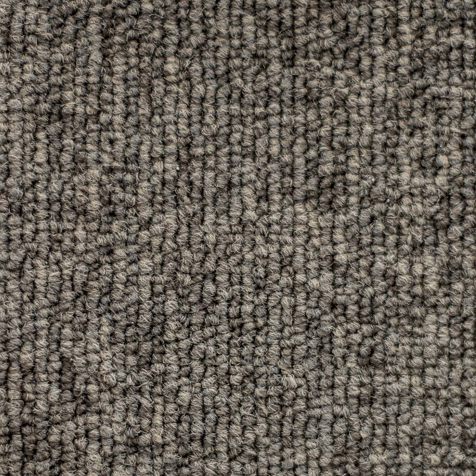 Ковролин "Зартекс" Daily 68 коричневый (4м) — купить в Брянске