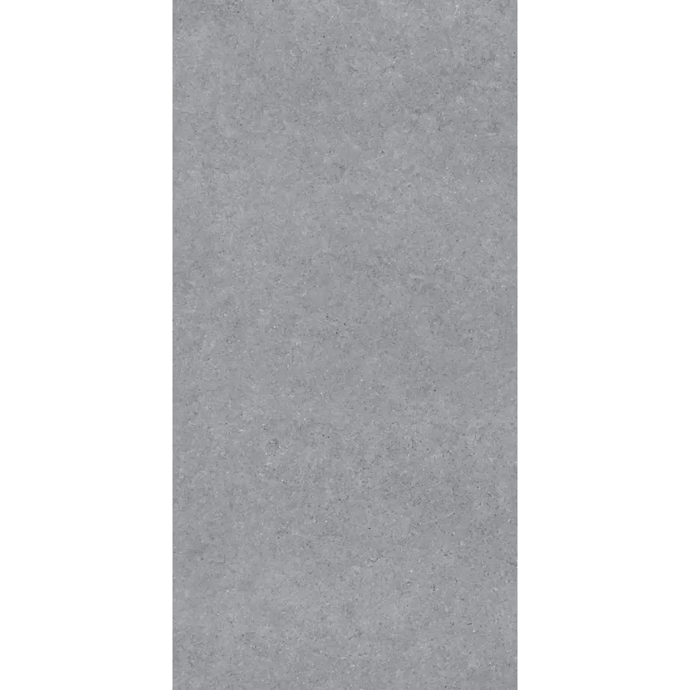 Керамогранит "Sonex" Forever Gris Matt 60x120x0.82 матовый цвет серый камень — купить в Брянске