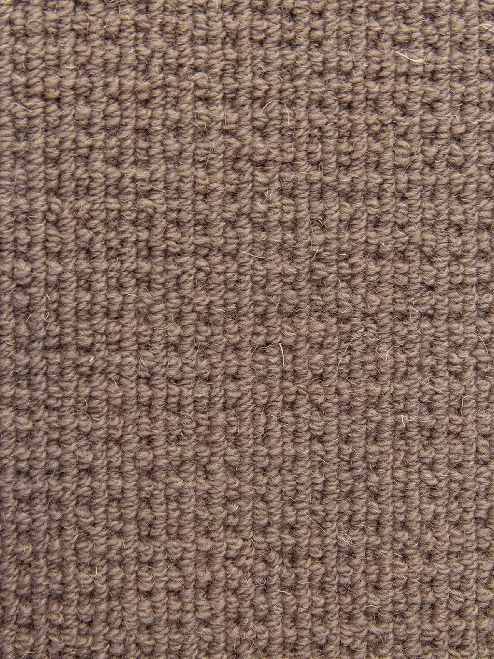 Ковровое покрытие "Bonkeel" Welfare Brown (ширина 4м) — купить в Брянске