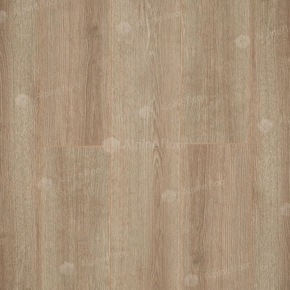 Ламинат "Camsan" Дуб Кашемир (1380*190*10 мм) — купить в Брянске