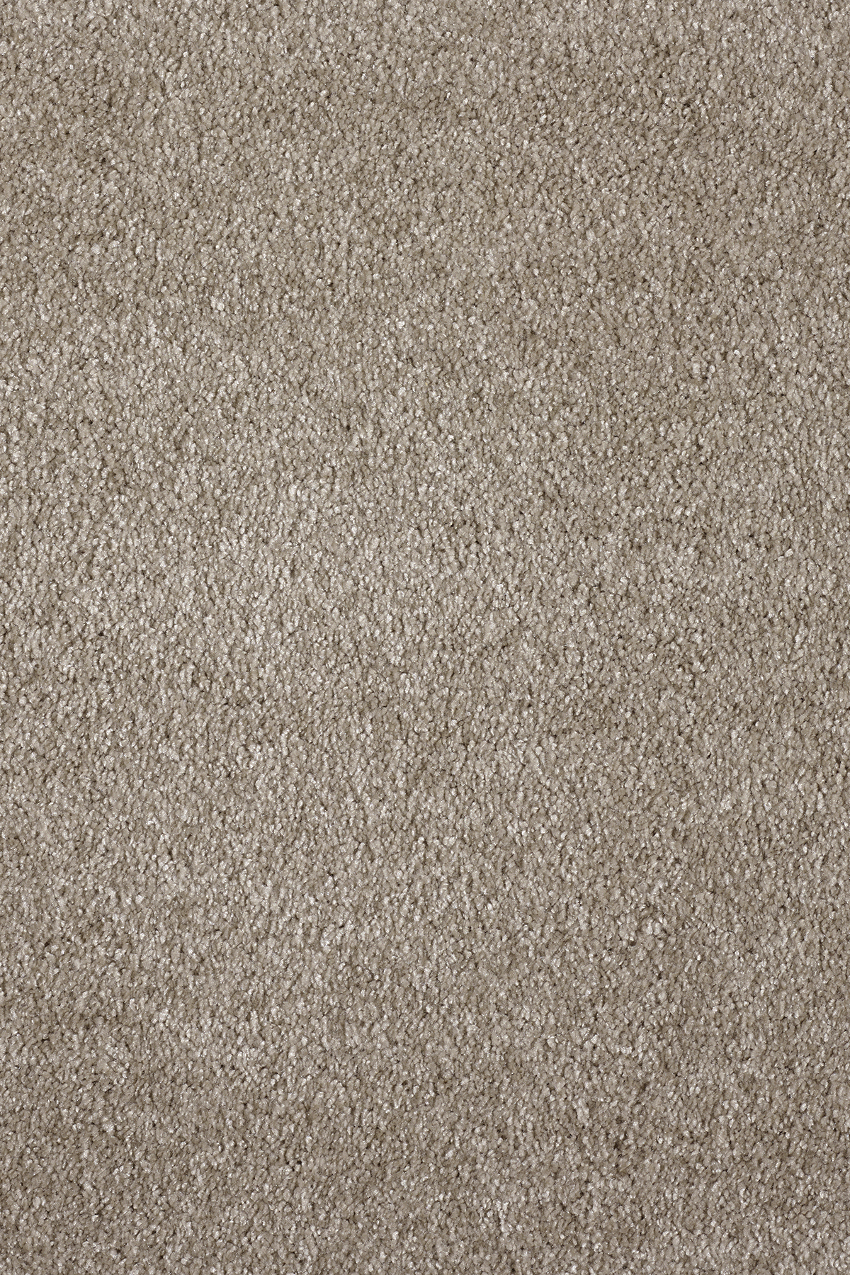 Ковровое покрытие "Bonkeel" Parana 34 (ширина 4м/5м) — купить в Брянске