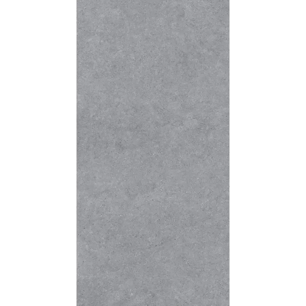 Керамогранит "Sonex" Forever Gris Matt 60x120x0.82 матовый цвет серый камень — купить в Брянске