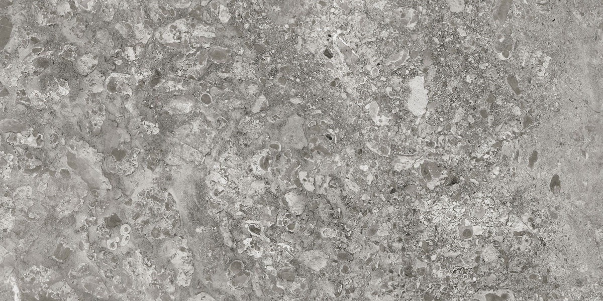 Керамогранит Lunar (Лунар) 600x1200 серый MR — купить в Брянске