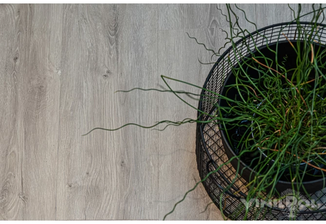 SPC ламинат Дуб Неаполь (1220*228*5 мм) — купить в Брянске