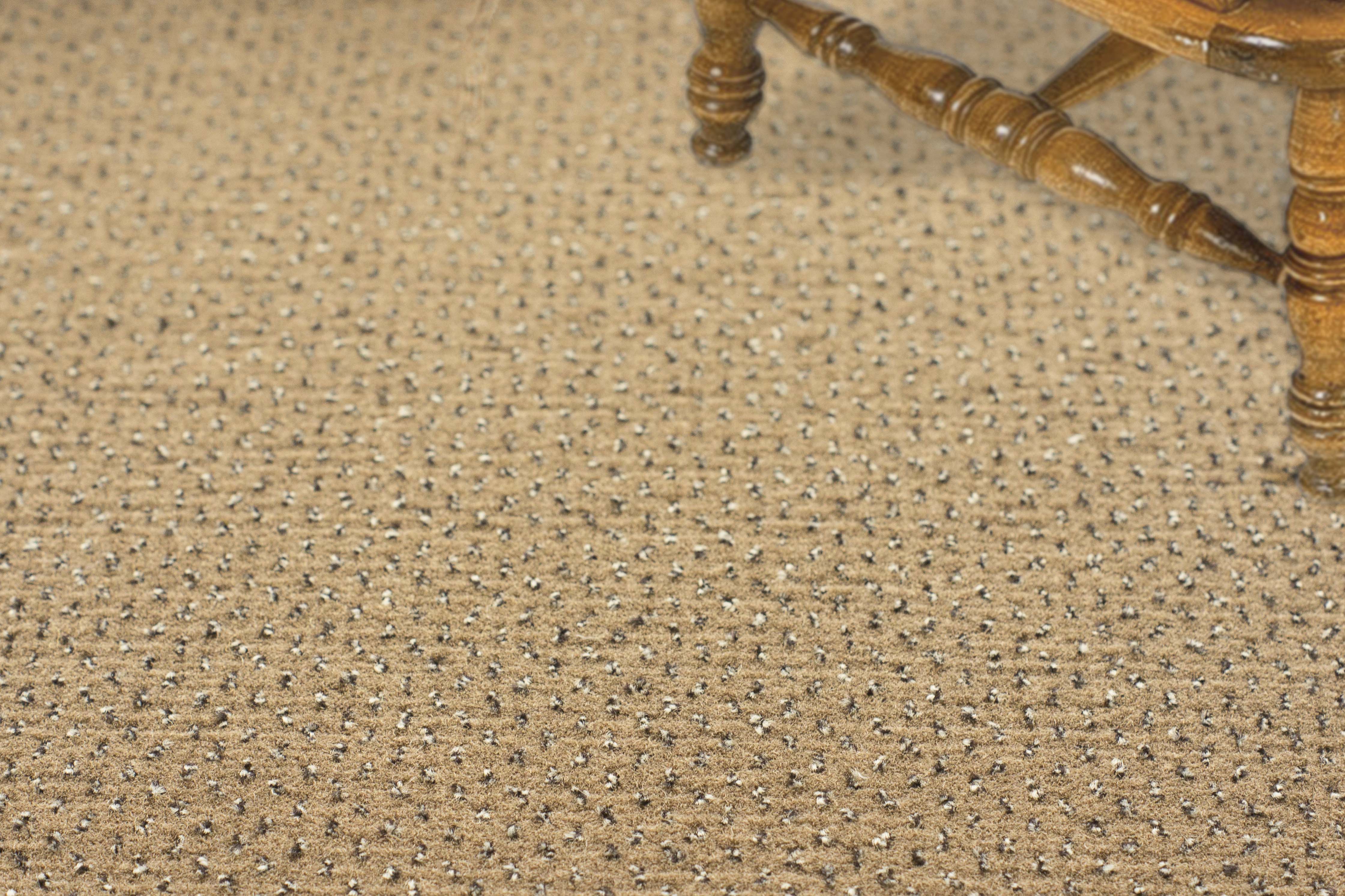 Ковролин "Зартекс" Eternity 142 бежевый (4м) — купить в Брянске